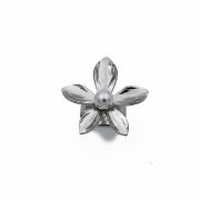 ΔΑΧΤΥΛΙΔΙ 02 ΑΣΗΜΙ