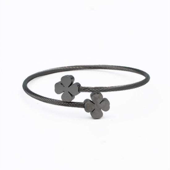 ΒΡΑΧΙΟΛΙ 02 ΑΣΗΜΙ