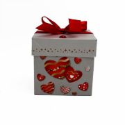 ΚΟΥΤΙ ΔΩΡΟΥ 12 ΓΚΡΙ