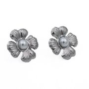 ΣΚΟΥΛΑΡΙΚΙΑ