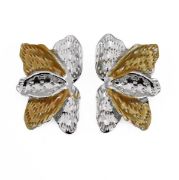 ΣΚΟΥΛΑΡΙΚΙΑ