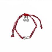 ΒΡΑΧΙΟΛΙ 02 ΑΣΗΜΙ