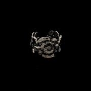 ΔΑΧΤΥΛΙΔΙ 02 ΑΣΗΜΙ