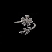 ΔΑΧΤΥΛΙΔΙ 02 ΑΣΗΜΙ