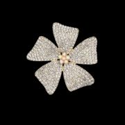 ΚΑΡΦΙΤΣΑ 01 ΧΡΥΣΟ