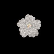 ΚΑΡΦΙΤΣΑ 02 ΑΣΗΜΙ