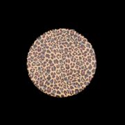 ΑΞΕΣΟΥΑΡ 17 ΜΠΕΖ