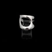 ΔΑΧΤΥΛΙΔΙ 02 ΑΣΗΜΙ