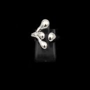 ΔΑΧΤΥΛΙΔΙ 02 ΑΣΗΜΙ