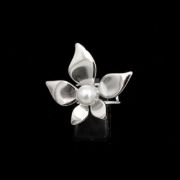 ΔΑΧΤΥΛΙΔΙ 02 ΑΣΗΜΙ