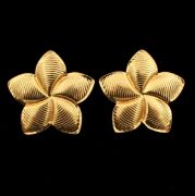 ΣΚΟΥΛΑΡΙΚΙΑ 01 ΧΡΥΣΟ