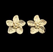 ΣΚΟΥΛΑΡΙΚΙΑ 01 ΧΡΥΣΟ