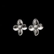 ΣΚΟΥΛΑΡΙΚΙΑ 02 ΑΣΗΜΙ