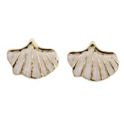 ΣΚΟΥΛΑΡΙΚΙΑ 07 ΛΕΥΚΟ