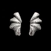 ΣΚΟΥΛΑΡΙΚΙΑ 02 ΑΣΗΜΙ