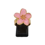 ΣΚΟΥΛΑΡΙΚΙΑ 11 ΡΟΖ