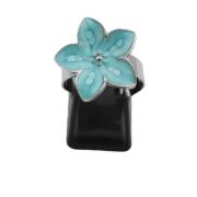 ΔΑΧΤΥΛΙΔΙ 09 ΓΑΛΑΖΙΟ