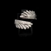 ΔΑΧΤΥΛΙΔΙ 02 ΑΣΗΜΙ